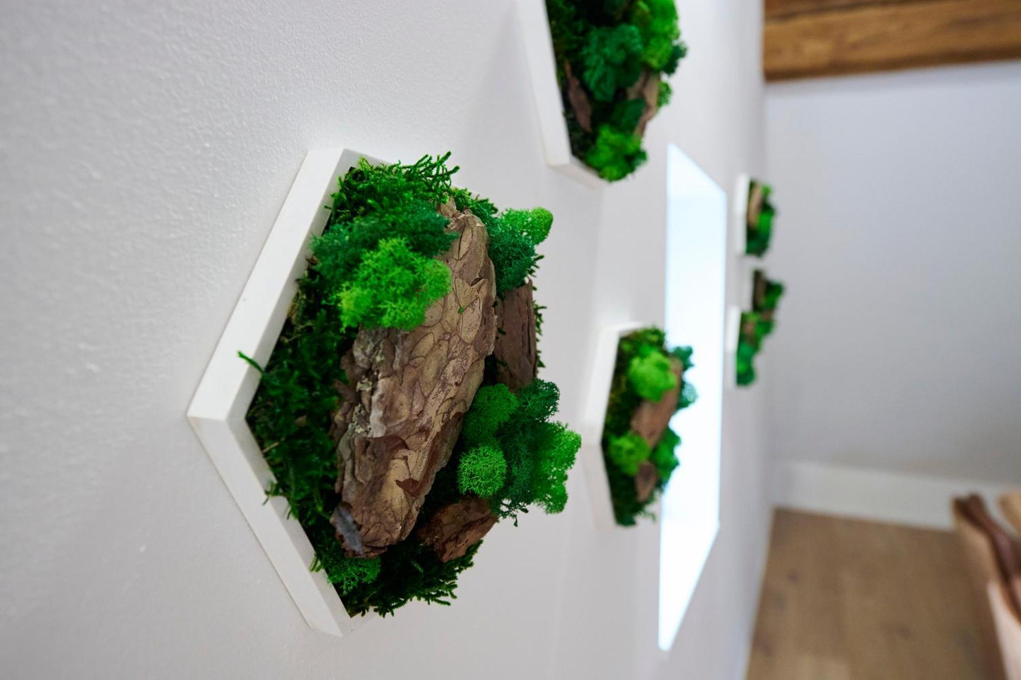 Wood World Luxury - Massage - Bergblick - Tranpolin- Parken Apartment มาร์คดอร์ฟ ภายนอก รูปภาพ